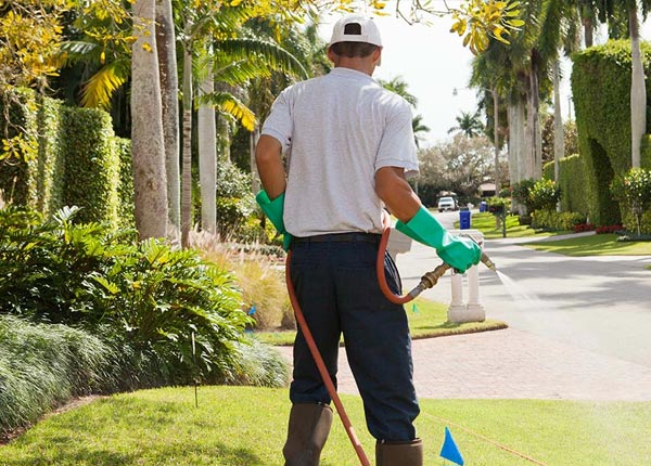 About Randsburg CA Pest Control
